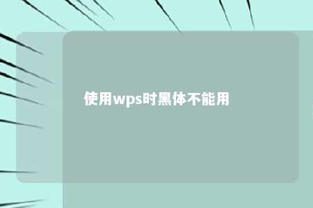 使用wps时黑体不能用