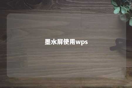 墨水屏使用wps