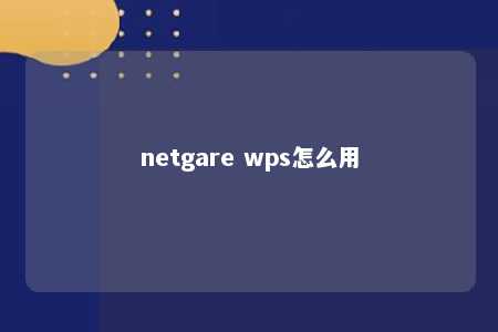 netgare wps怎么用