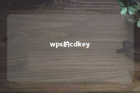 wps的cdkey