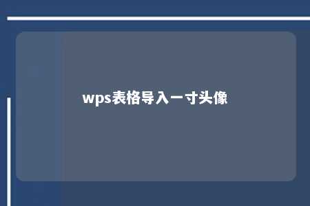 wps表格导入一寸头像 