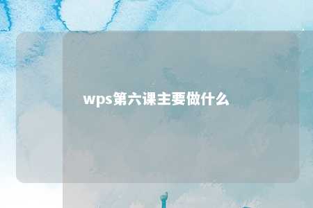 wps第六课主要做什么