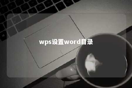 wps设置word目录 