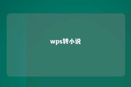 wps转小说