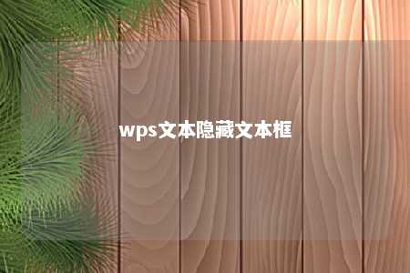 wps文本隐藏文本框