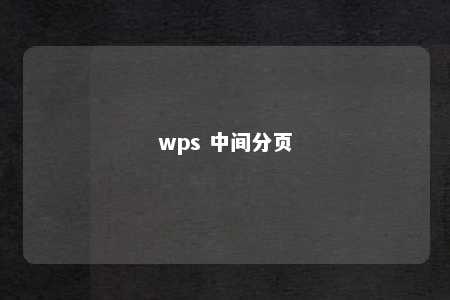 wps 中间分页 