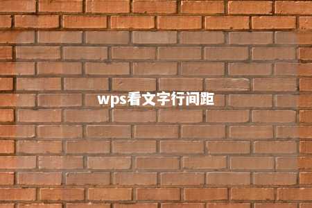 wps看文字行间距 