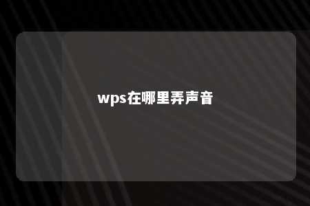 wps在哪里弄声音 