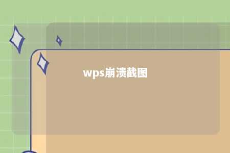 wps崩溃截图 