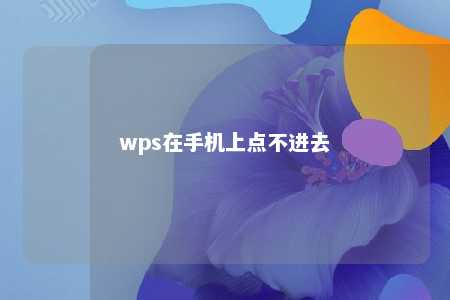 wps在手机上点不进去 