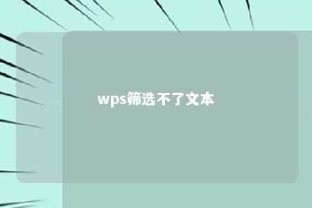 wps筛选不了文本