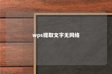 wps提取文字无网络 