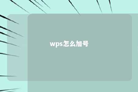 wps怎么加号