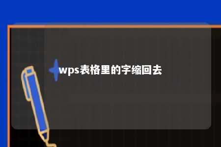 wps表格里的字缩回去