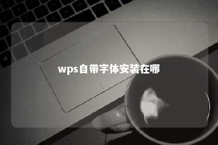 wps自带字体安装在哪 