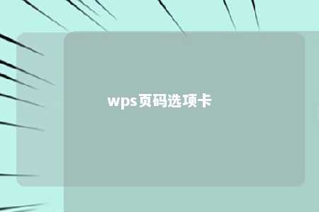 wps页码选项卡