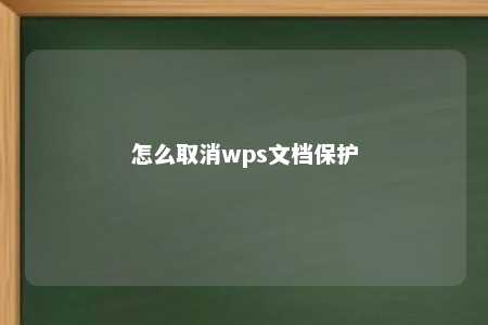 怎么取消wps文档保护 