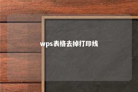 wps表格去掉打印线 