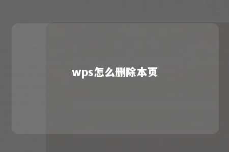 wps怎么删除本页