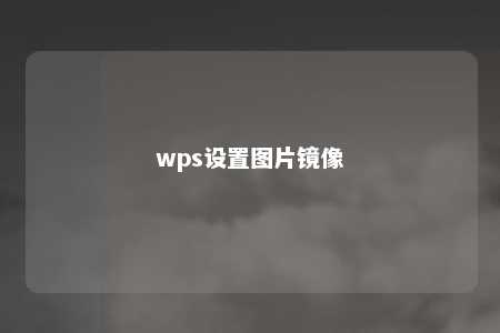 wps设置图片镜像 