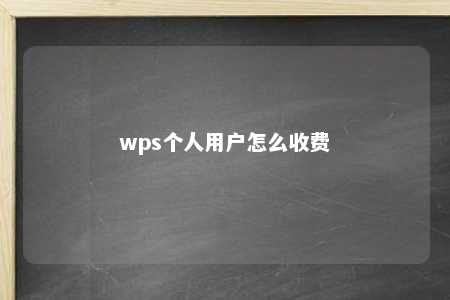 wps个人用户怎么收费 