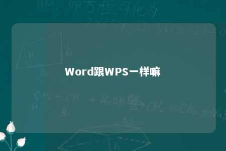 Word跟WPS一样嘛 