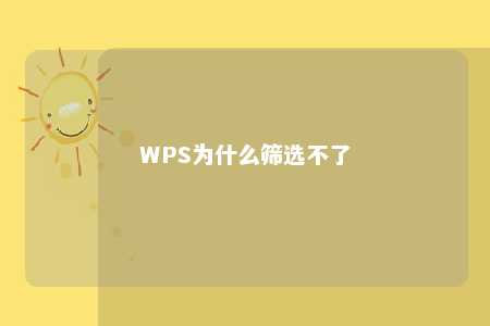 WPS为什么筛选不了