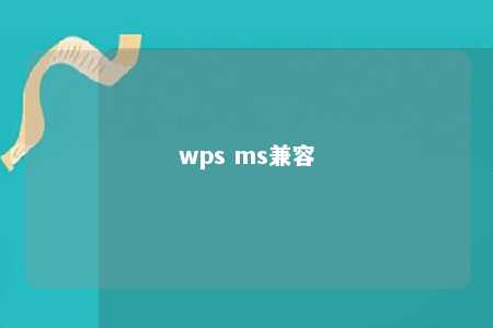 wps ms兼容 