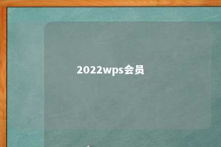 2022wps会员 