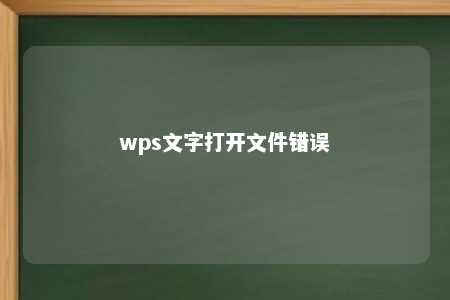 wps文字打开文件错误 