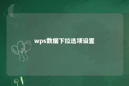 wps数据下拉选项设置 