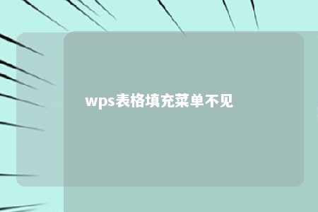 wps表格填充菜单不见 