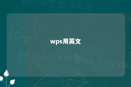 wps用英文