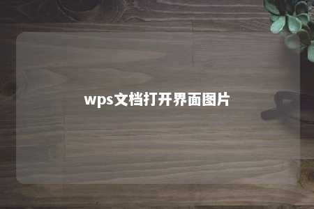 wps文档打开界面图片 