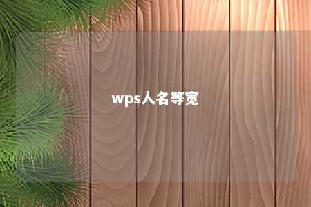 wps人名等宽 