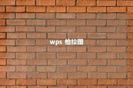 wps 柏拉图 