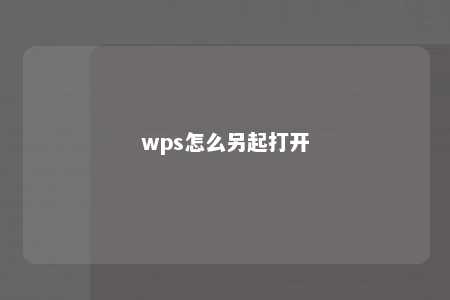 wps怎么另起打开 