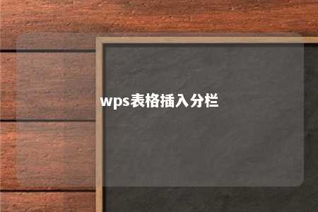 wps表格插入分栏