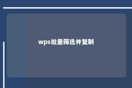 wps批量筛选并复制 