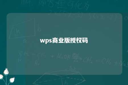 wps商业版授权码 