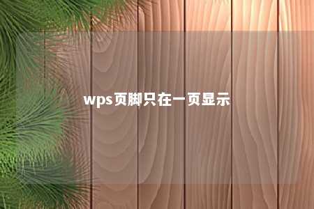 wps页脚只在一页显示