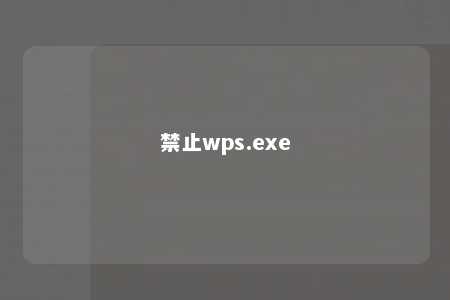 禁止wps.exe