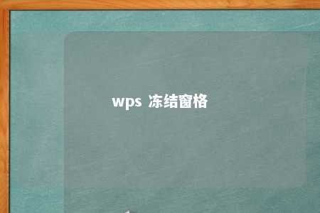 wps 冻结窗格