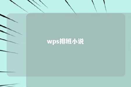 wps排班小说 