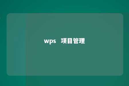 wps  项目管理 