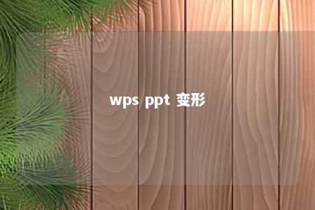 wps ppt 变形 