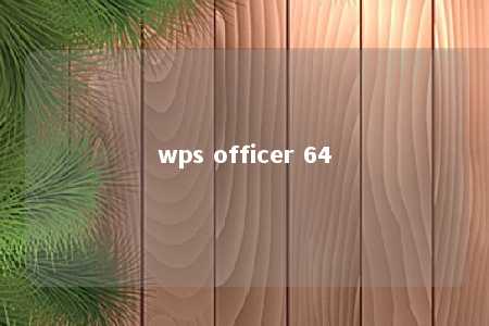 wps officer 64 