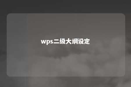 wps二级大纲设定