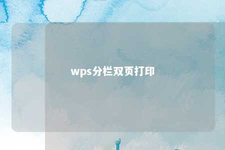 wps分栏双页打印