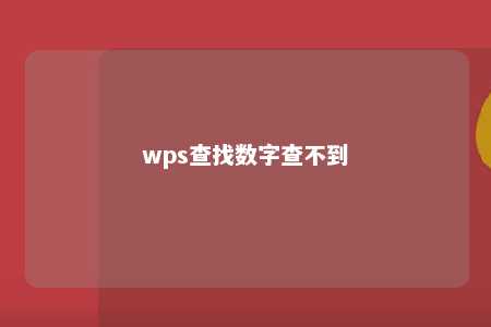 wps查找数字查不到